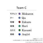 【U-TREASUREコラボ】Team C カラーストーンリング シルバー