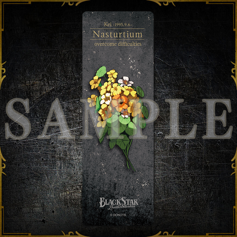 BLACKSTAR GAME SONG COLLECTION Season3 豪華版 – ブラックスター BLACKSTAR GAME SONG COLLECTION Season3 豪華版 – ブラックスター